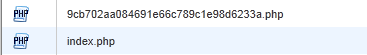 malicious-code2